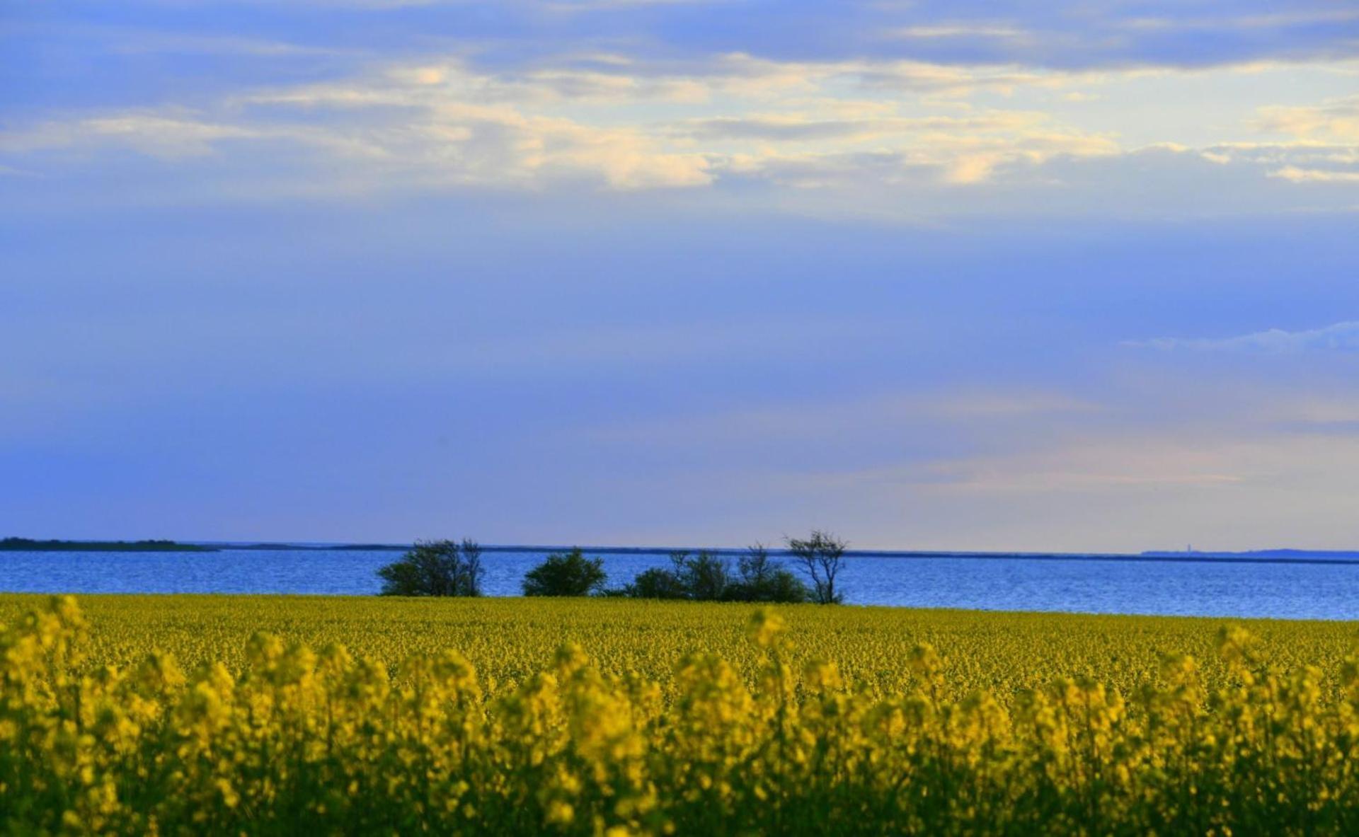 Lango Fjord Glamping Nr 1 Lyxtält Nakskov